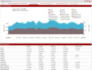 İzleme Ekranı WAN Grafikleri