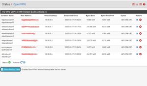 Canlı VPN İstemci Raporu